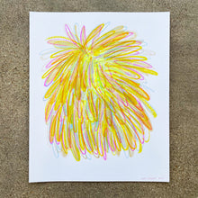 Load image into Gallery viewer, JENI EMERY MYSTERY DRAWING
