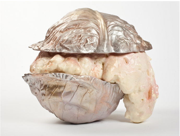 Untitled (clam shell)